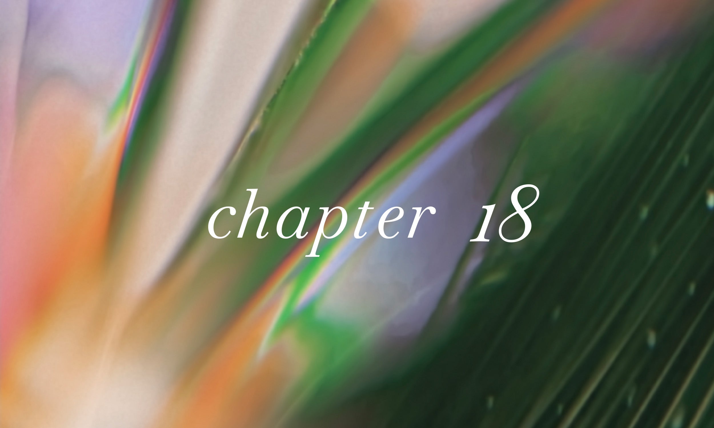 chapter18 ALL