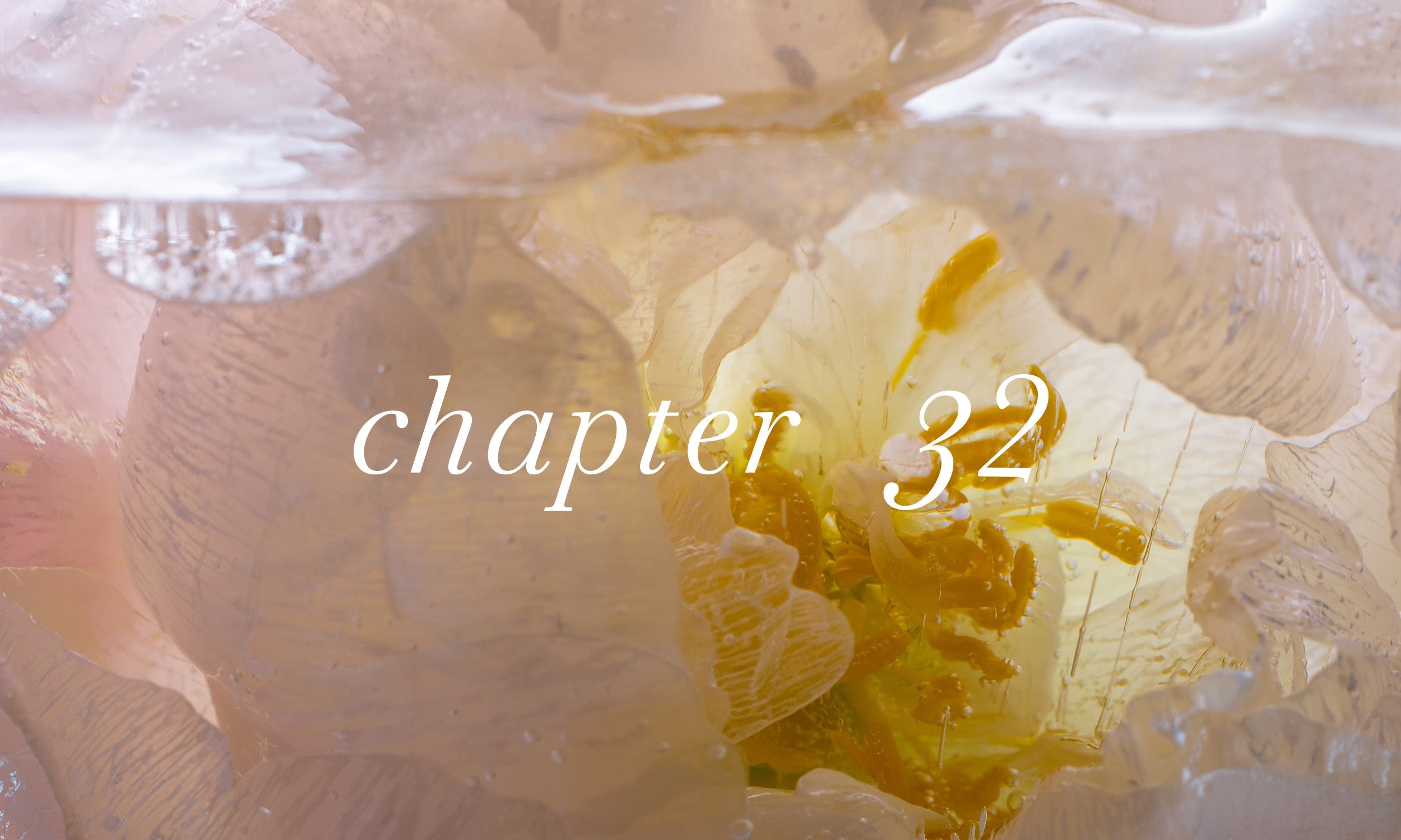 chapter32 ALL