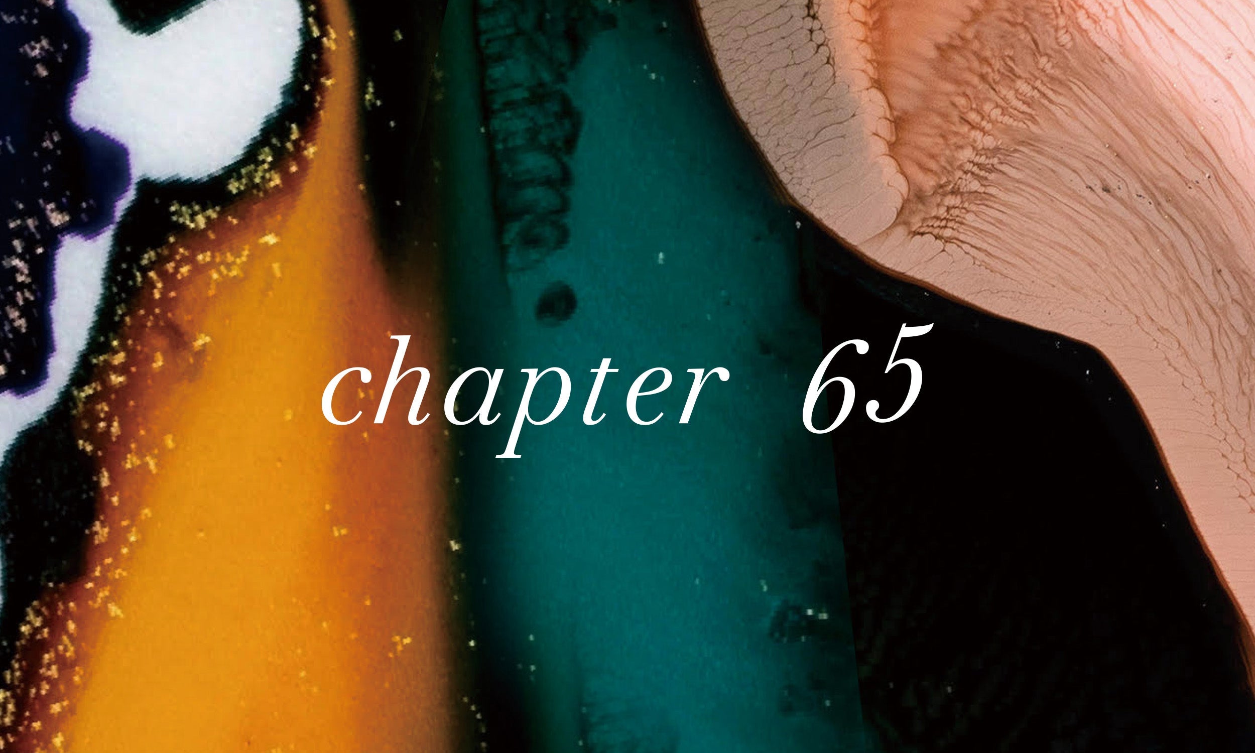 chapter65 ALL