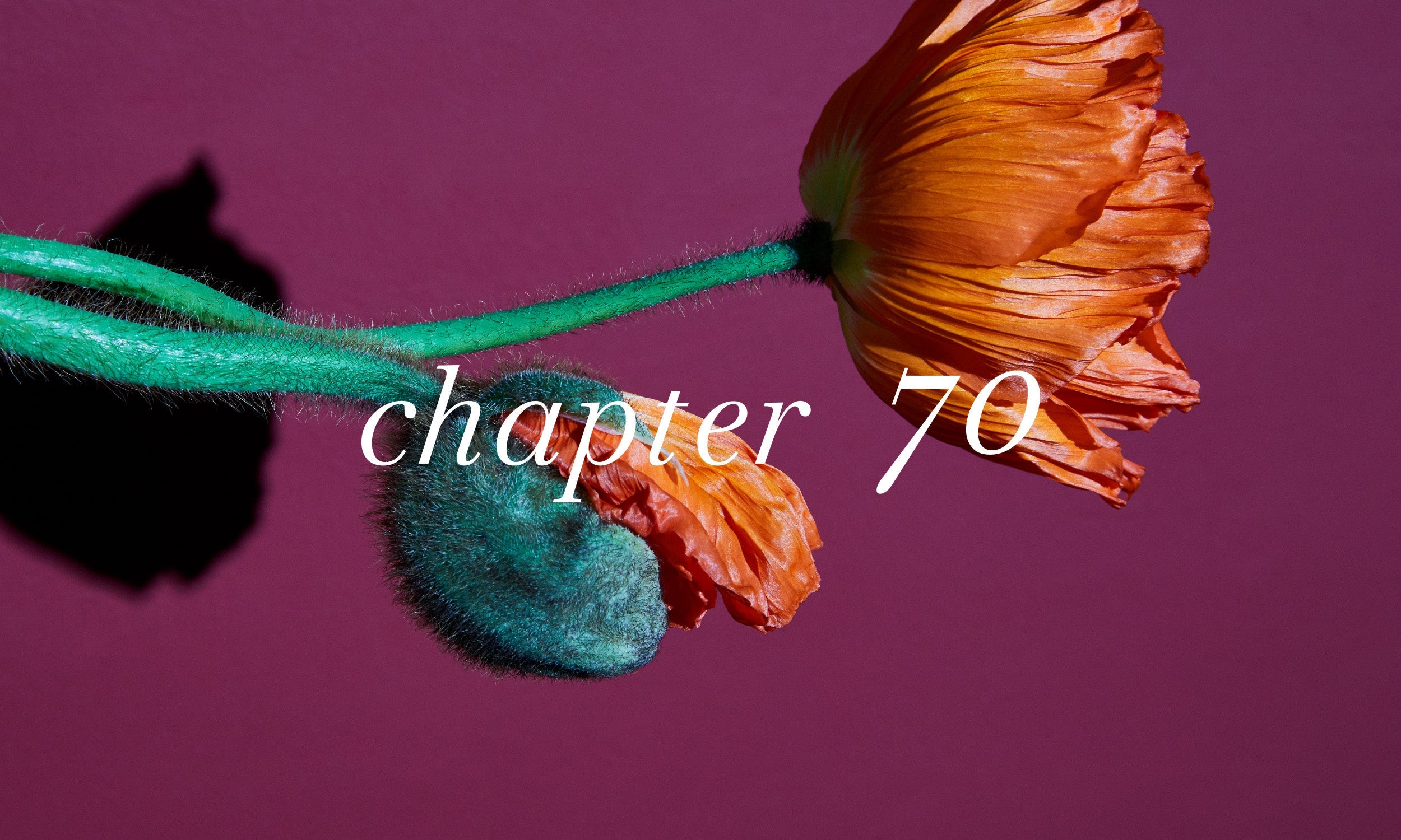 chapter70 ALL – Aíam OFFICIAL ONLINE STORE