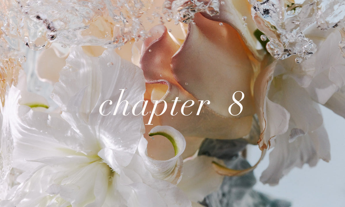 chapter8 ALL Chapter8 チャプター8