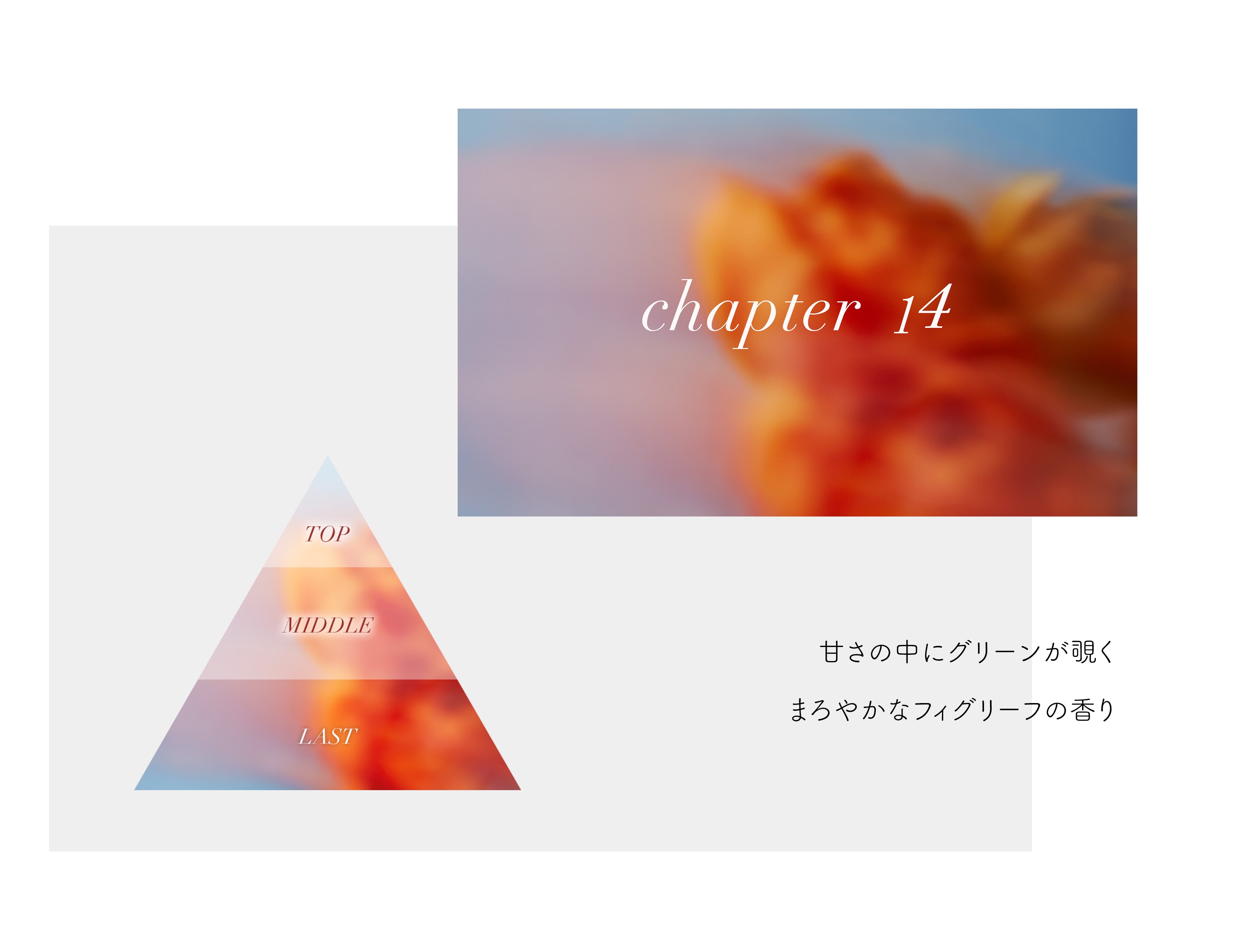 mobile_chapter14_app.jpg