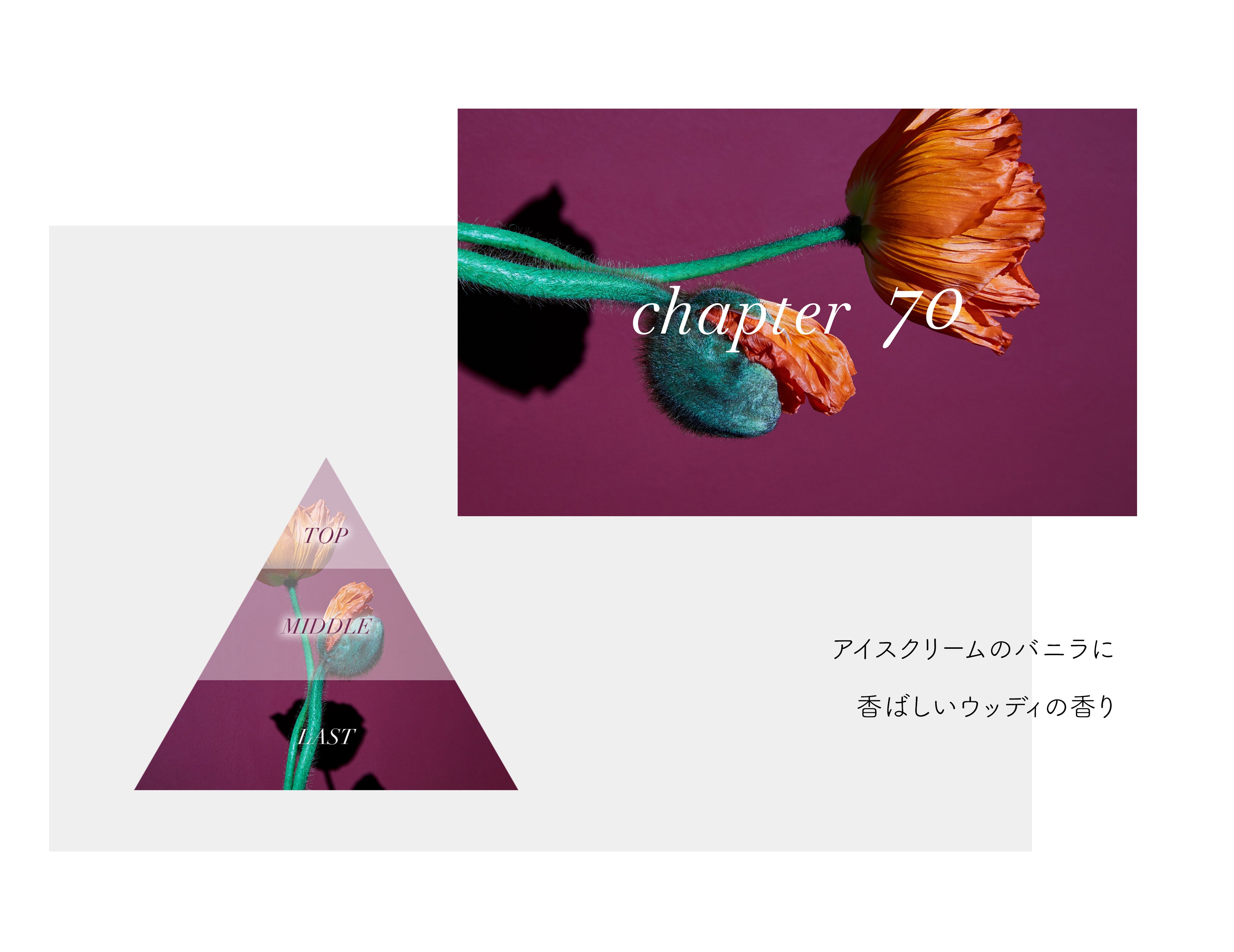mobile_chapter70_app.jpg