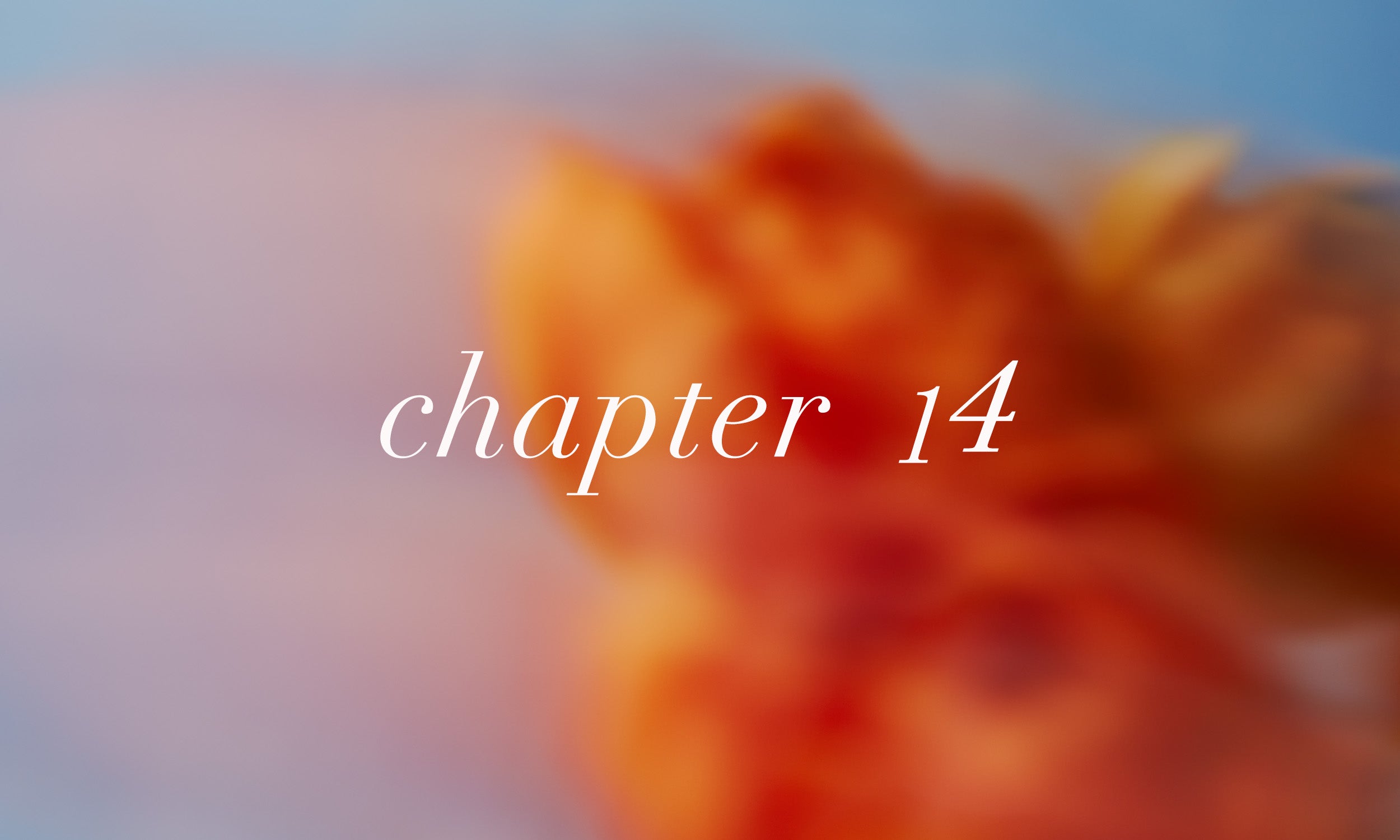 chapter14 ALL