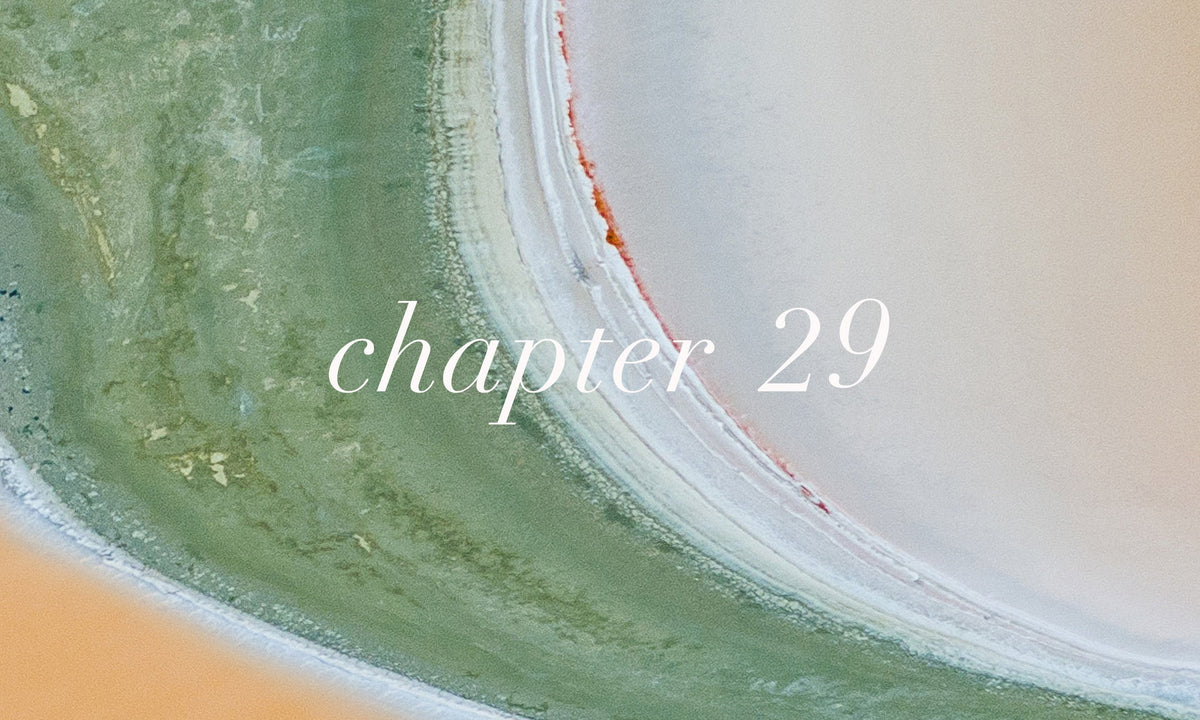 chapter29 ALL