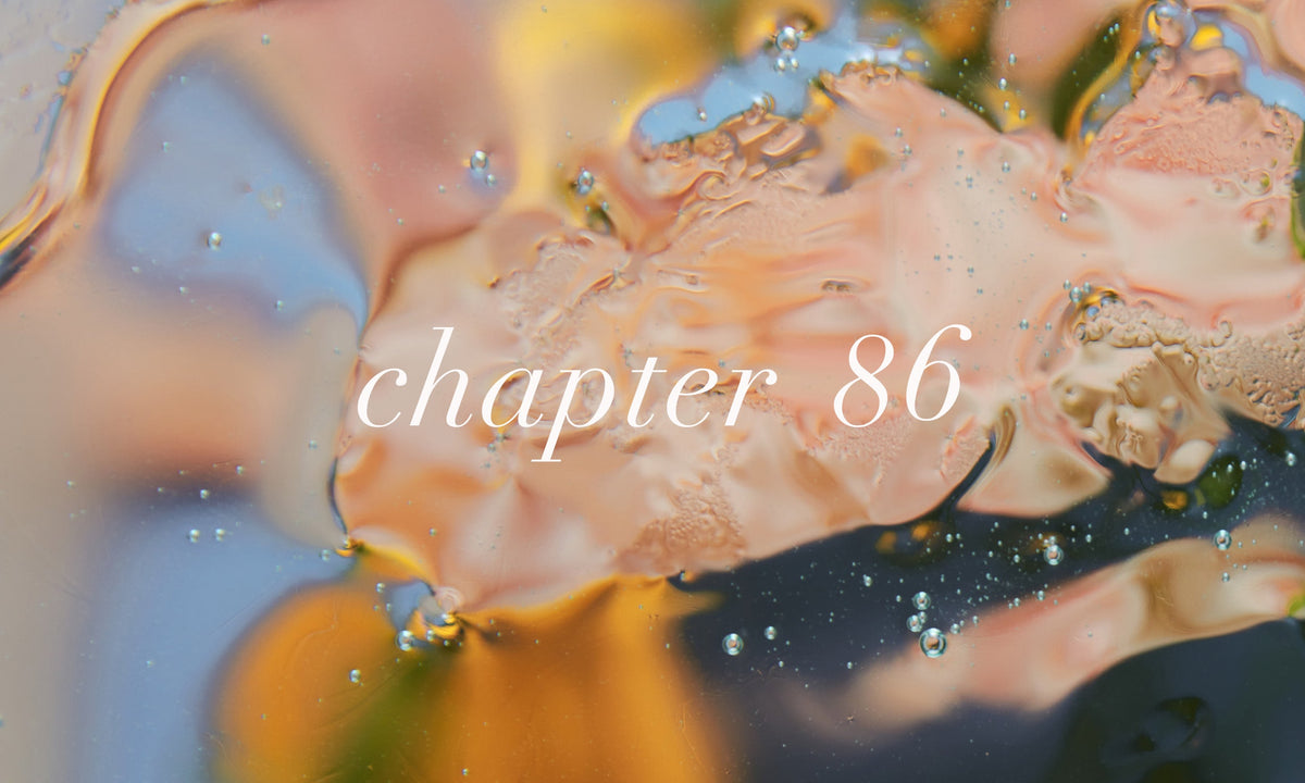 chapter86 ALL
