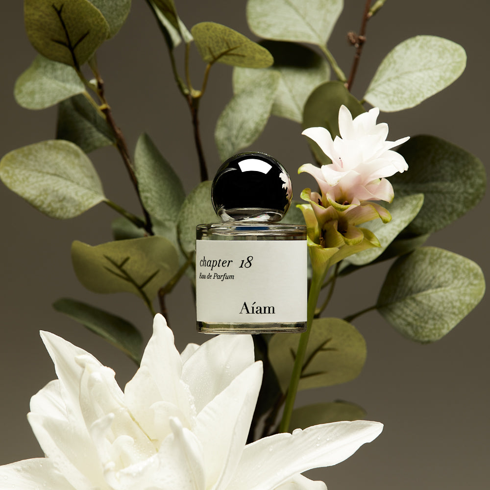 その他 Aiam chapter 18 50mjl Aiam チャプター18 50ml