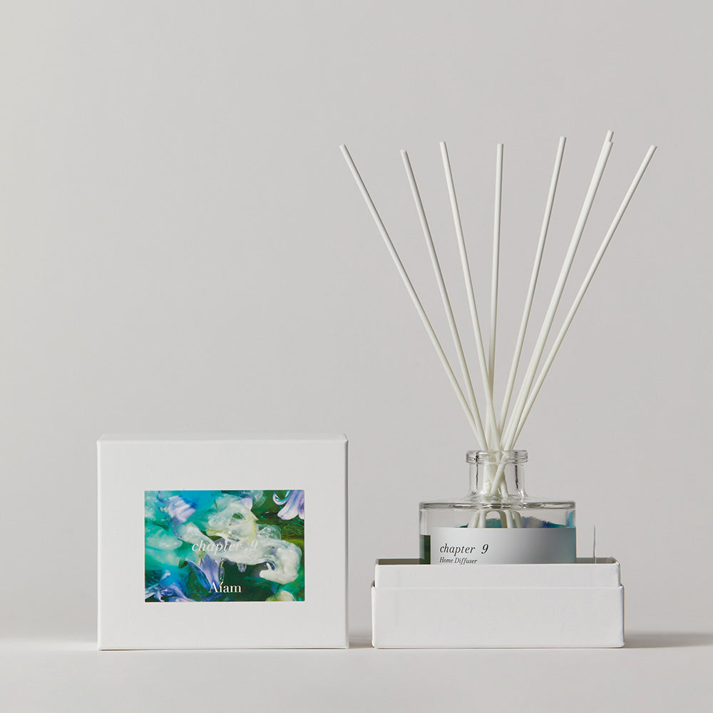 ディフューザー チャプター9