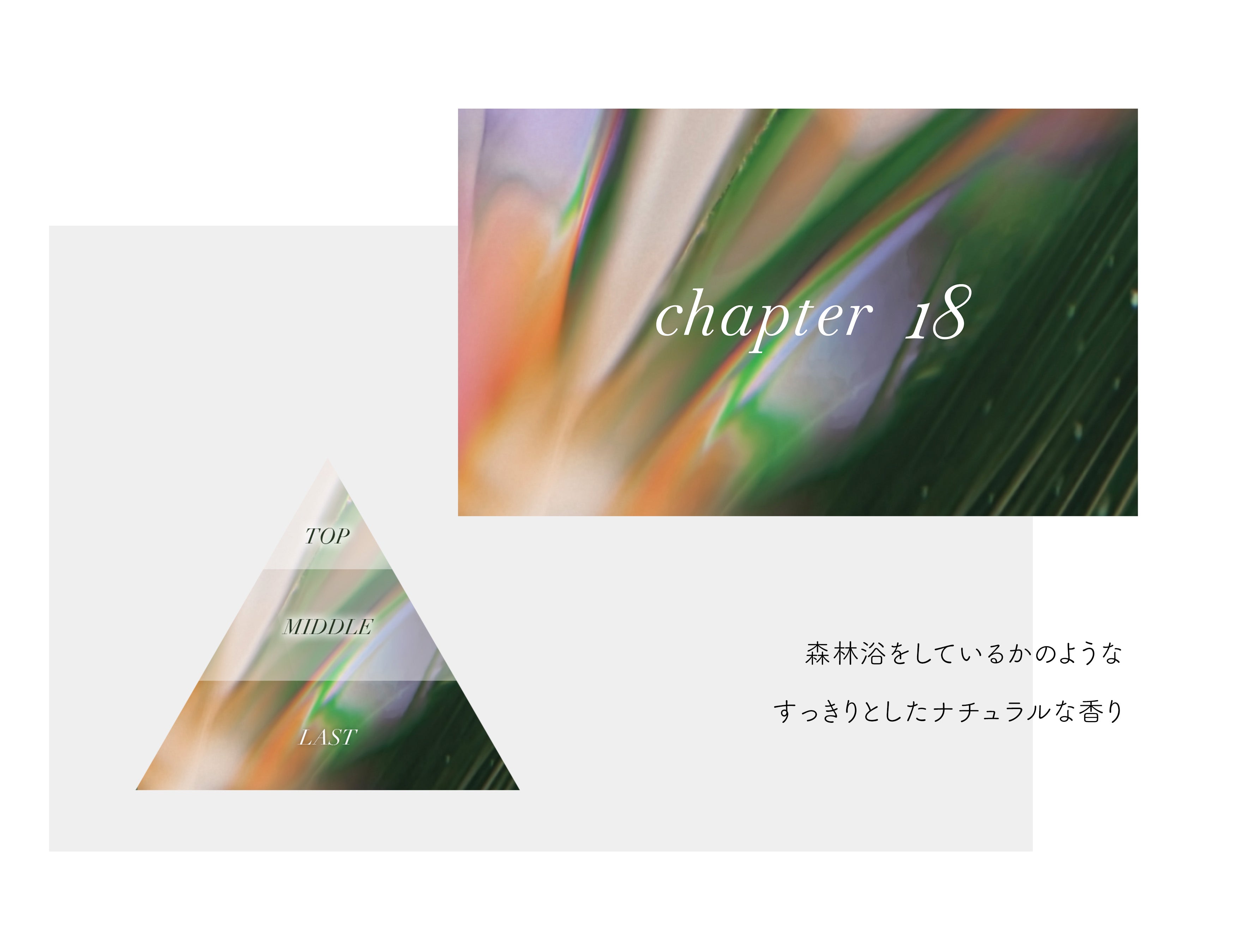 mobile_chapter18_app.jpg