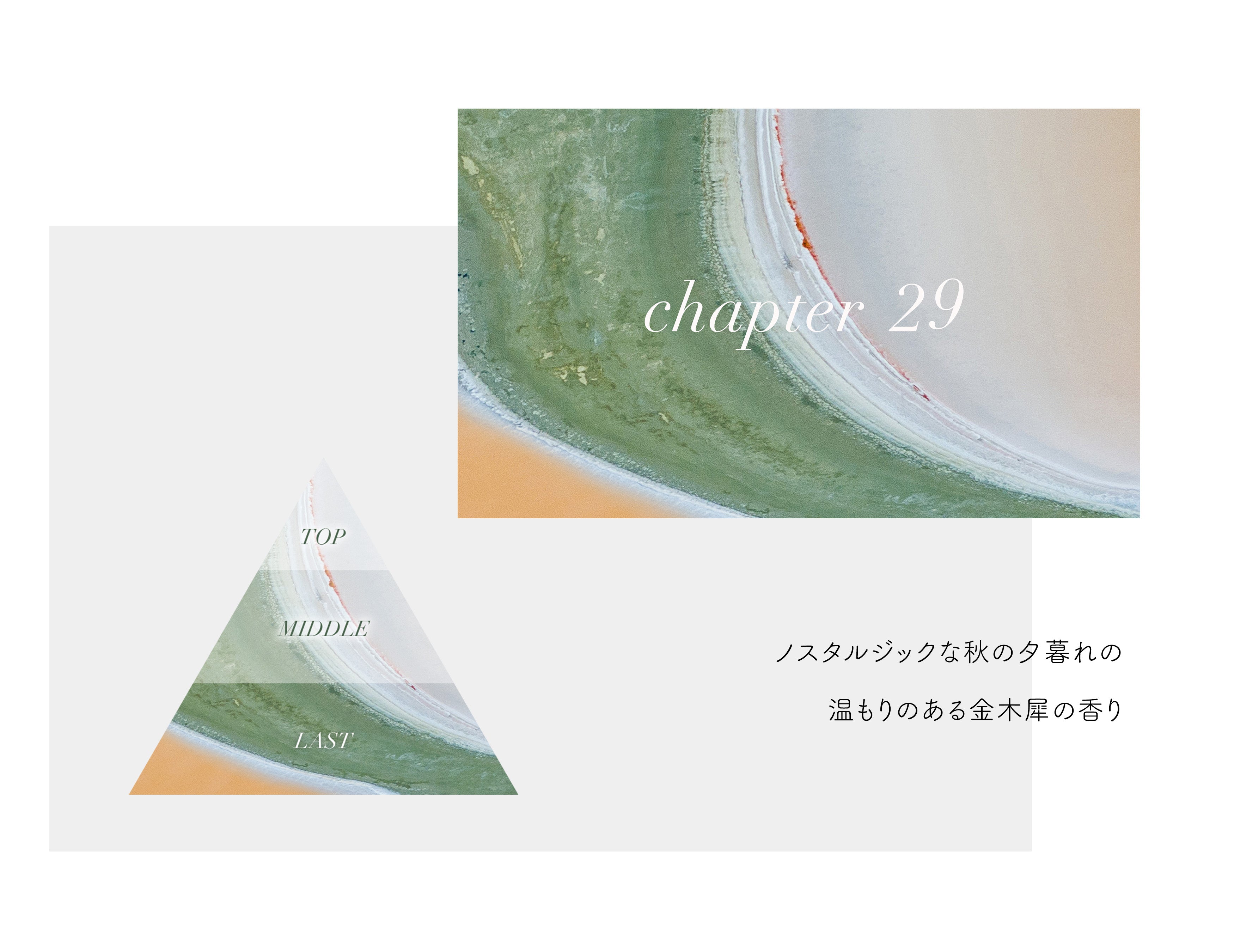 mobile_chapter29_app.jpg