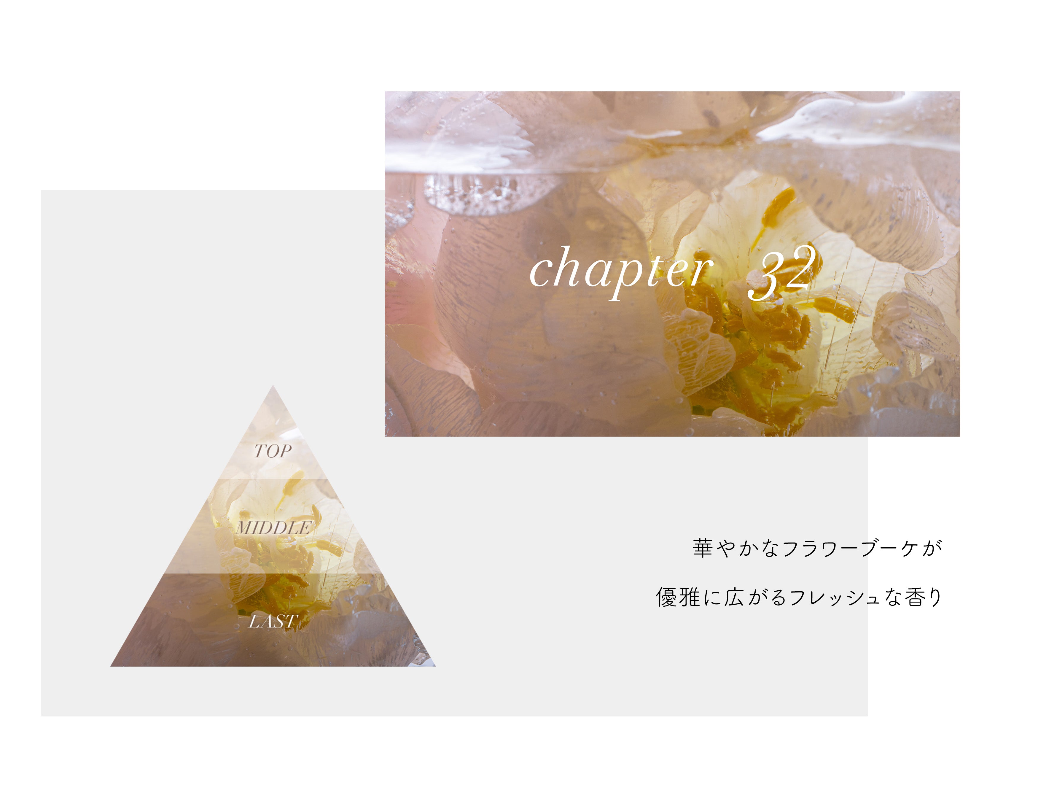 mobile_chapter32_app.jpg