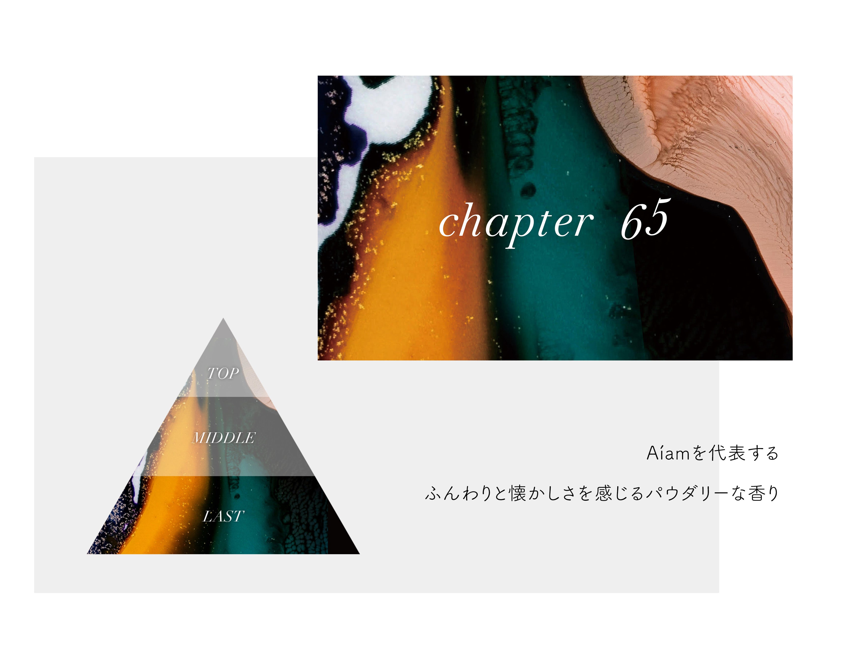mobile_chapter65_app.jpg