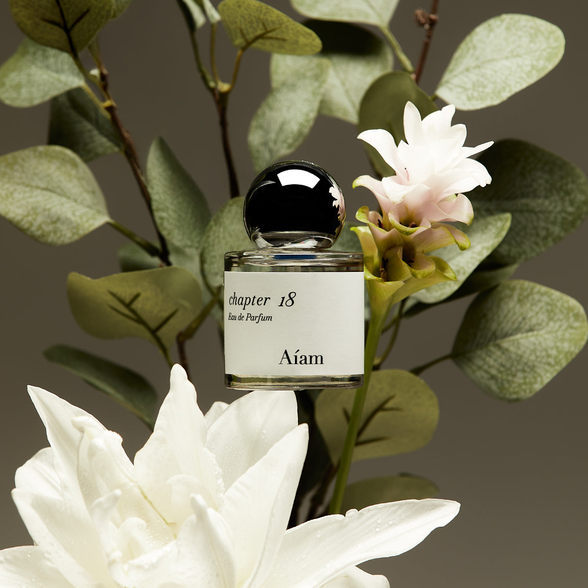 Aíam[ アイアム ] Official Web Store