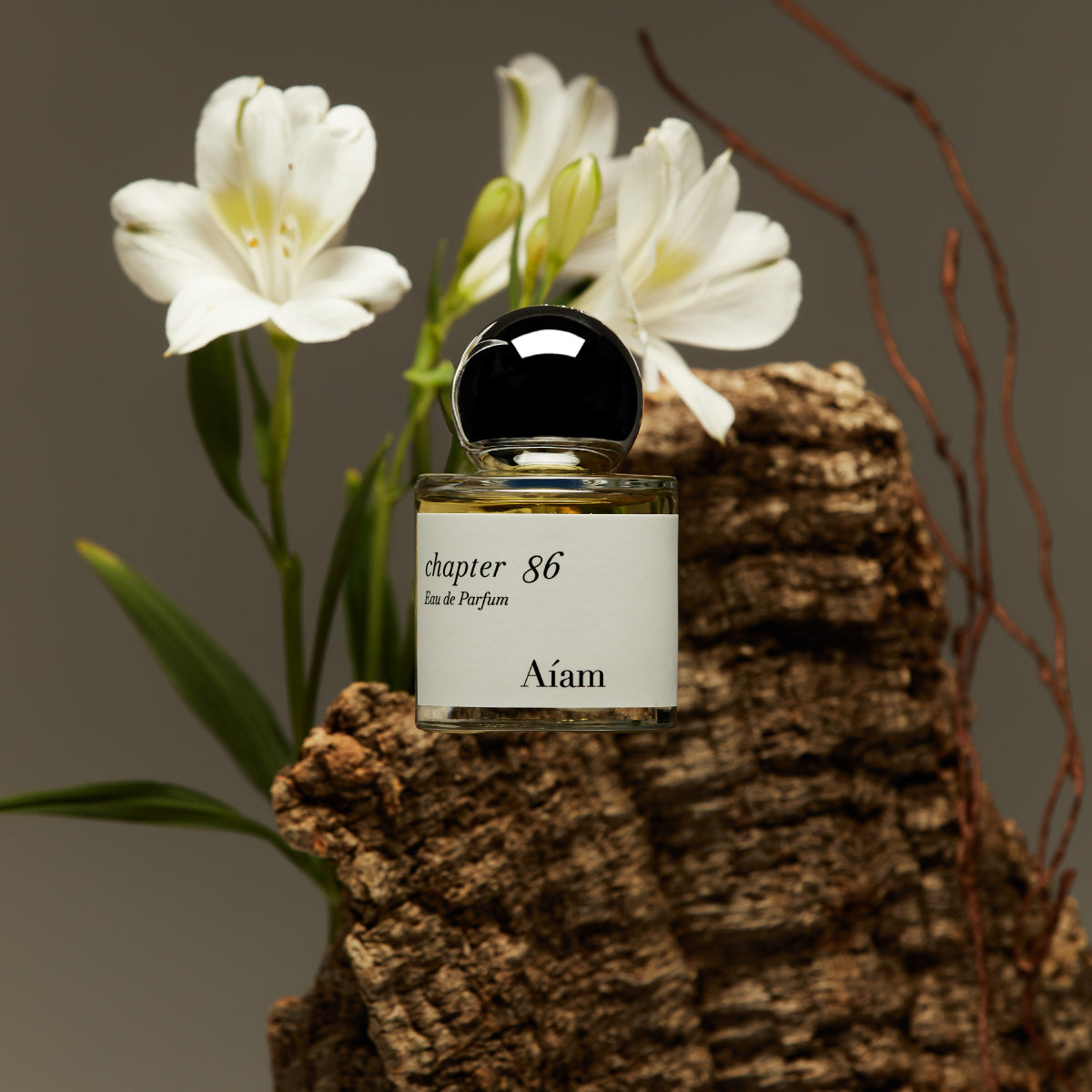 Aíam[ アイアム ] Official Web Store