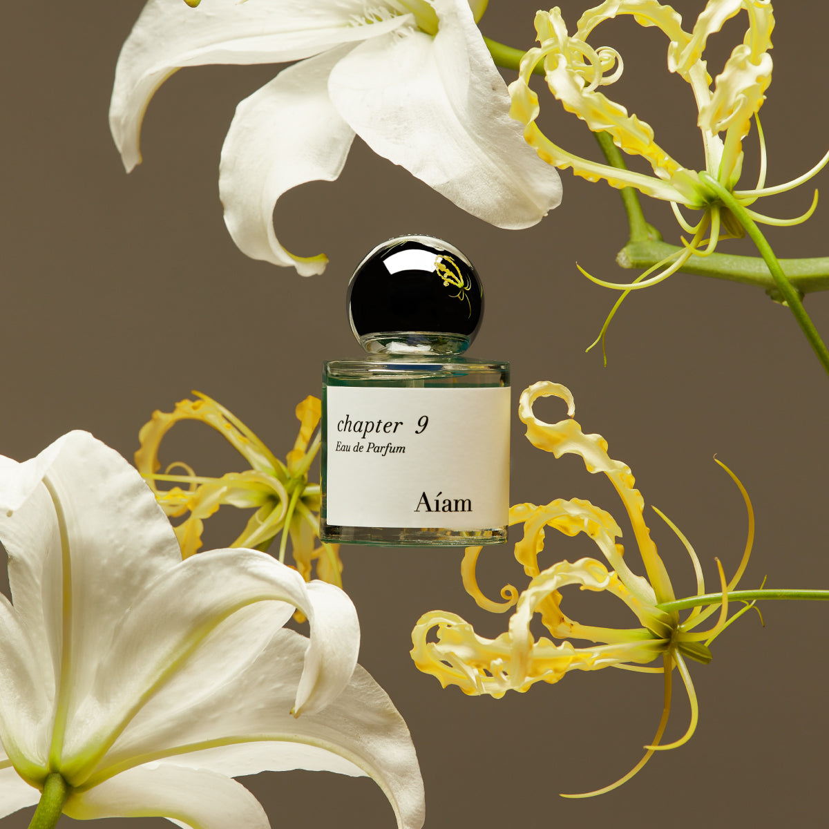 Aíam[ アイアム ] Official Web Store